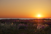 Sunrise Over the Sea