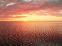Sunset over the Sivash Sea