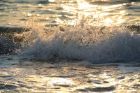 Drops of Bliss