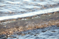 Waves
