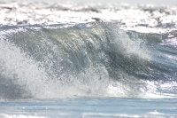 Waves