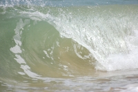 Waves