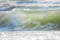 Waves
