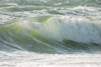 Waves