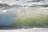 Waves