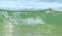 Waves