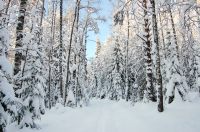 Winter