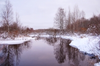 Winter