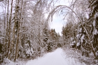 Winter