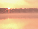 Beauty to Fall in Love with!