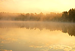 God Has Created the Beauty for You!